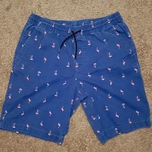 Men's Casual Shorts